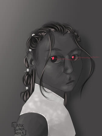 Mallory Study